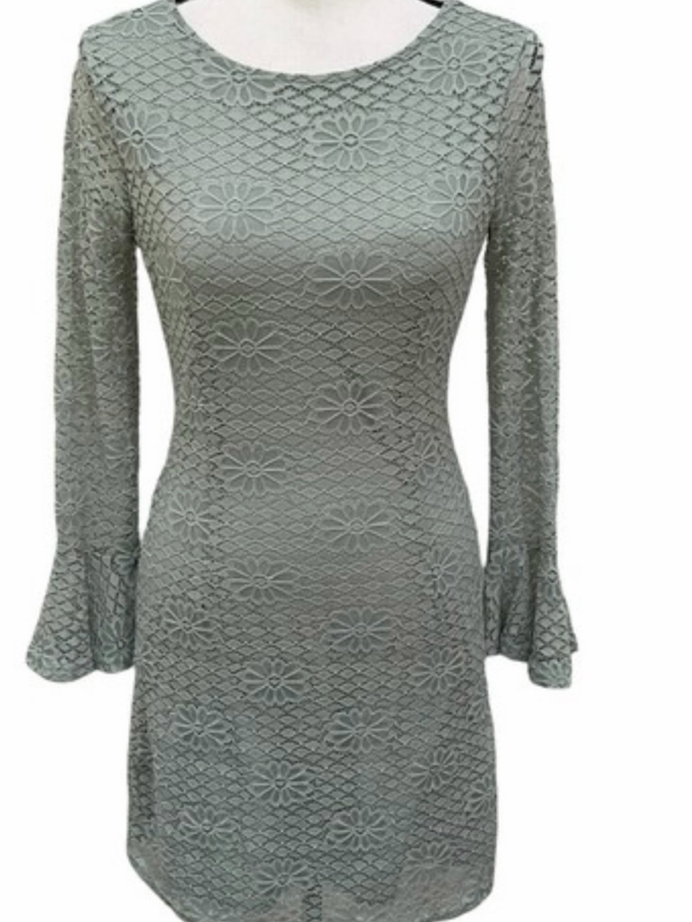 Altar'd State Dusty Sage Floral Lace Long Sleeve Dress
